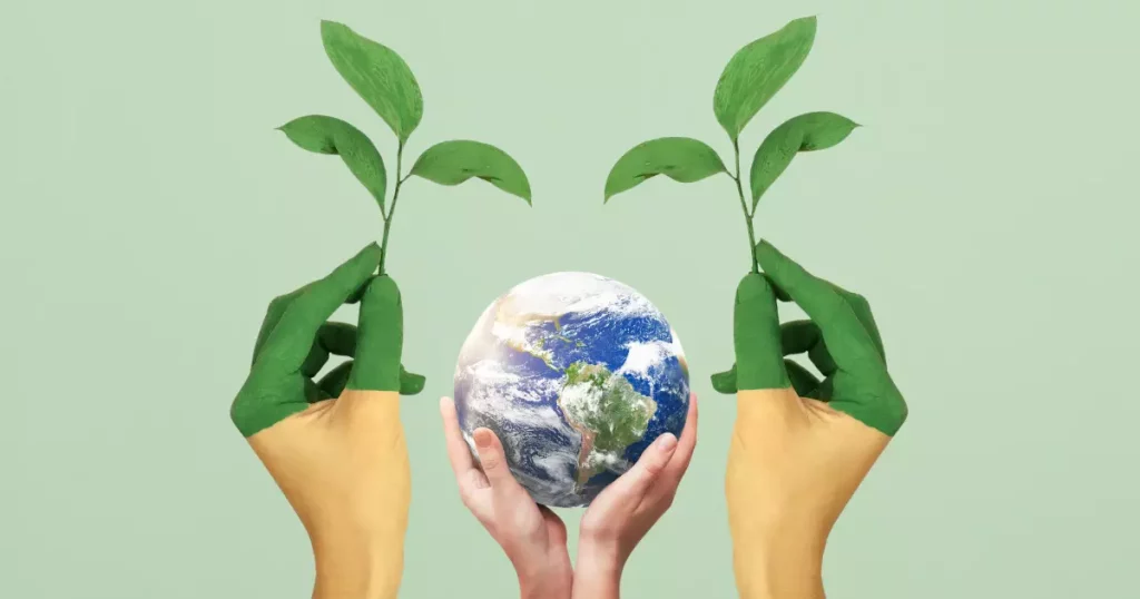 Sostenibilità ambientale: il progetto di CuteThings per un presente e futuro più green.